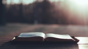 Aaron burden Q6 Ua YI20suw unsplash